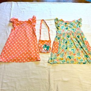 Baby Girl Springtime Dress Set